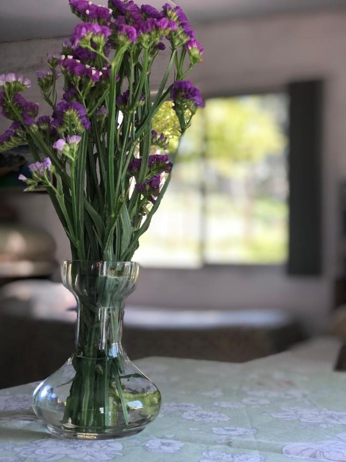 Casita Del Parque Hotel Салто Екстериор снимка