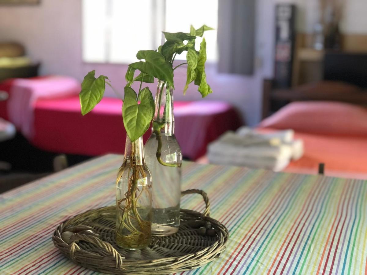 Casita Del Parque Hotel Салто Екстериор снимка