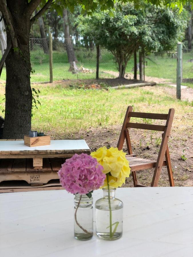 Casita Del Parque Hotel Салто Екстериор снимка